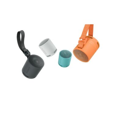 Sony Haut-parleur Bluetooth SRS-XB100 Noir