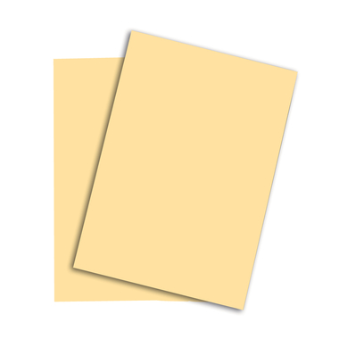 PAPYRUS Rainbow Papier FSC A4 88042276 80g, chamois 500 Blatt