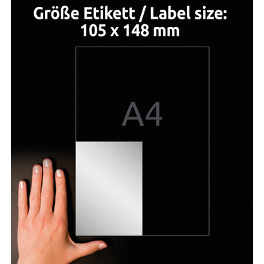 AVERY ZWECKFORM Typenschild Label 105x148mm L613420 silber 80 Stück/20 Blatt