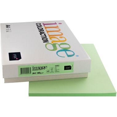 IMAGE COLORACTION Carta per copie Forest A4 274581 80g, verde 500 fogli
