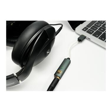 iFi Audio Headphone Amplifier & USB-DAC GO link Max