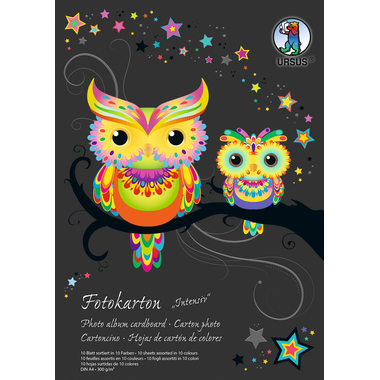 URSUS Fotokarton-Block A4 3704699SE 300g, 10 Farben int. 10 Blatt