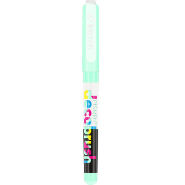 KARIN PigmentDecoBrush 29Z358 past.light green 358U