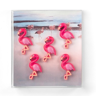 TRENDFORM Aimants FLAMINGO FA4615 set de 5