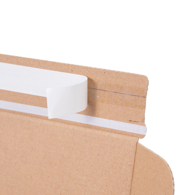 Versandkarton mit Selbstklebeverschluss in braun 192x155x43mm