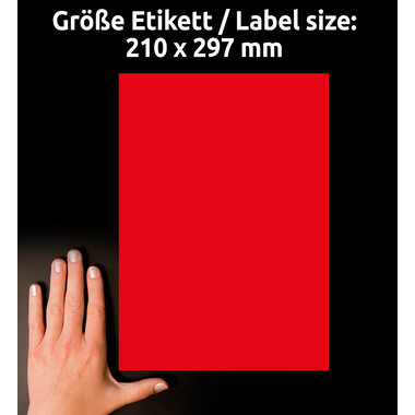 AVERY ZWECKFORM Étiquettes 210x297mm L6005-25 rouge,non-perm. 25pcs./25fl.