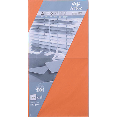 ARTOZ Karten 1001 310x155mm 107452265 220g, hummerrot 5 Blatt