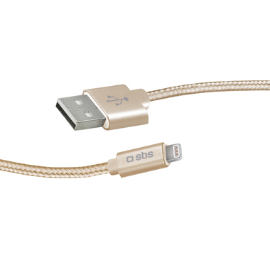 Câble de données Apple Lightning - Collection Or