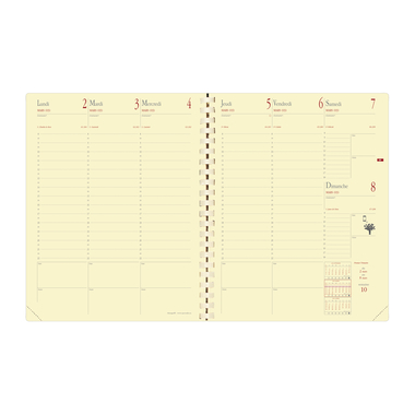 QUO-VADIS Ersatzinhalt Manager 2026 371014Q 1W/2S FR 8.8x17cm