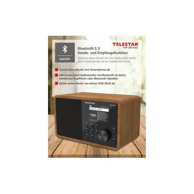 Telestar Radio Internet TOP 200 Brun