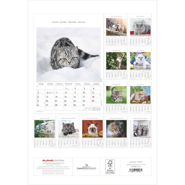ALPHA EDITION Bildkalender 2026 160493 Katzen ML 23.7x34cm