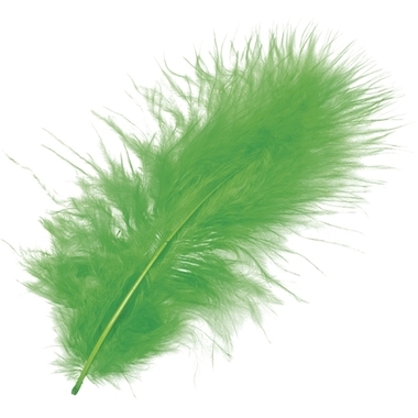 KNORR PRANDELL Plumes marabout 10cm 6619440 vert 15 pcs.