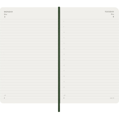 MOLESKINE Agenda Classic Large 2027 DSK1512DC3Y27 1T/1S myrtengrün SC 13x21cm