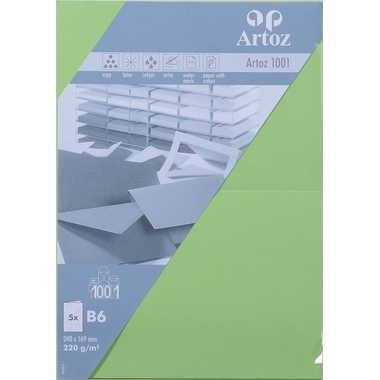 ARTOZ Karten 1001 B6 107362263 220g, birkengrün 5 Blatt
