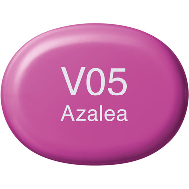 COPIC Marker Sketch 21075296 V05 - Azalea