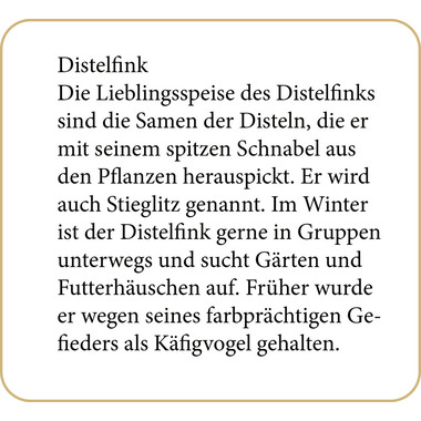 COPPENRATH Calendario dell'avvento sonor 95250 I nostri uccelli in inverno