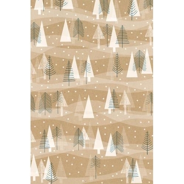 STEWO Carta da regalo Gian 2523664050 0,7x250m marrone