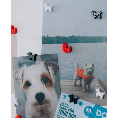 I AM CREATIVE Magnet Hund Let`s Organize 4035.53 schwarz, weiss 6 Stück