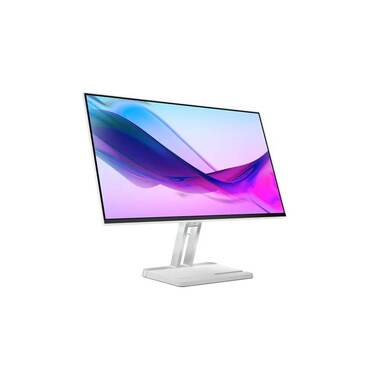 Lenovo Moniteur L24i-4A
