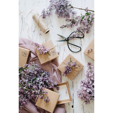 COLOP Textstempel 154849 Little NIO Handmade DE