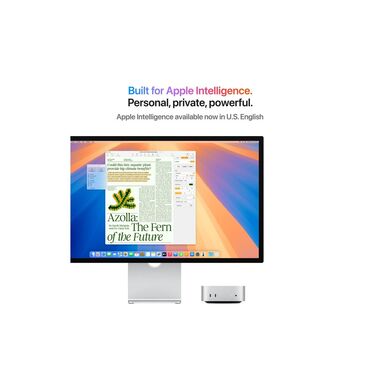 Apple Mac mini 2024 M4 Pro 1 TB / 48 GB