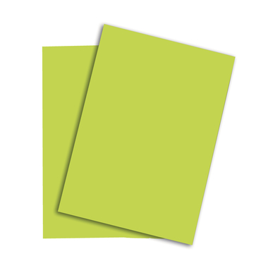 PAPYRUS Rainbow Papier FSC A4 88043110 leuchtend grün, 120g 250 Blatt