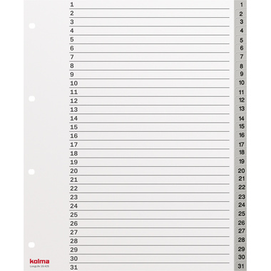 KOLMA Register LongLife A4+ 19.425.03 grau 1-31