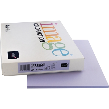 IMAGE COLORACTION Carta per copie Tundra A4 266668 120g, lavanda 250 fogli