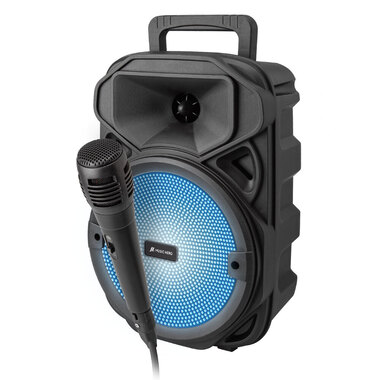 Speaker wireless per karaoke con microfono | SBS