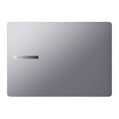 ASUS ExpertBook P5 (P5405CSA-NZ0327X)