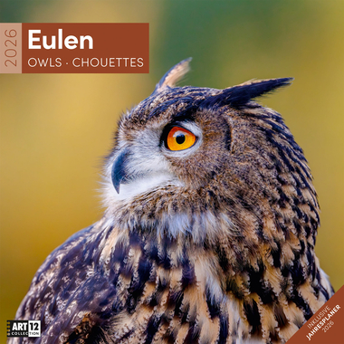 ACKERMANN Calendrier 2026 4624 Eulen ML 30x30cm
