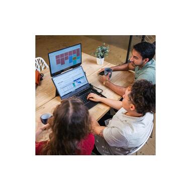 Mobile Pixels Moniteur Duex Float 15.6