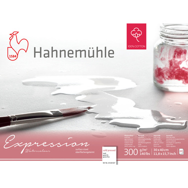 HAHNEMÜHLE Aquarellbl. Expression 30x40cm 10628667 weiss, 300g 20 Blatt