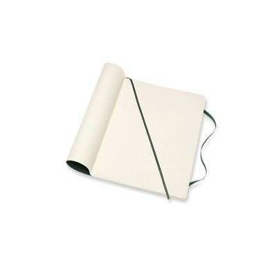 MOLESKINE Notizbuch XL SC 25x19cm 600080 gepunktet, myrtengrün, 192 S.