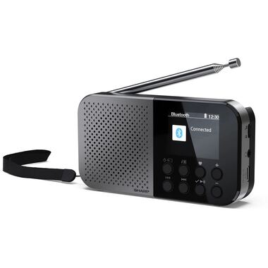Sharp DAB+ Radio DR-P520 Grau