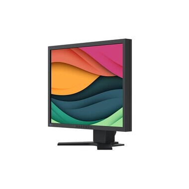 EIZO Monitor FlexScan S2134 Swiss Edition