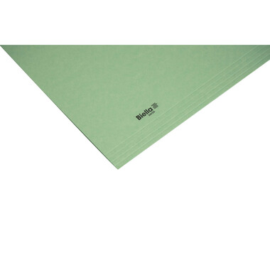 BIELLA Vertikalmappe A4 25543230U grün 320g 100 Stück