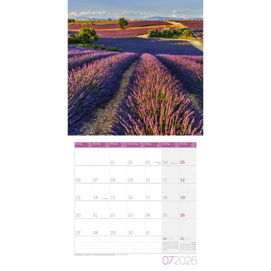 ACKERMANN Bildkalender 2026 4604 Traumpfade ML 30x30cm