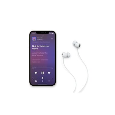 Apple Beats Écouteurs intra-auriculaires Wireless Beats Flex Smoke Gray