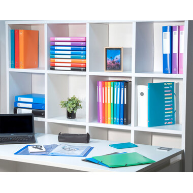 EXACOMPTA Sichtbuch A4 8519E gelb 10 Taschen