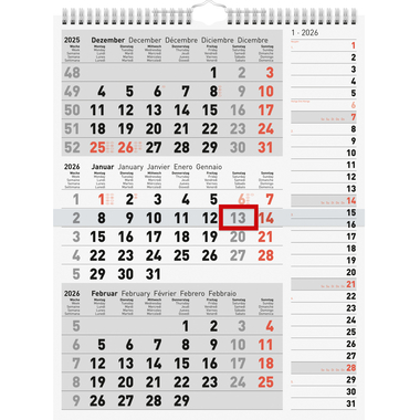 RIDOIDE 3-Monats-Kombiplaner 2026 7033330006.26 3M/1S 30x39cm