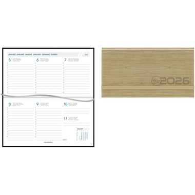 AURORA Agenda Eco Novoplan 2026 1713 1S/2P ass. ML 16.5x9cm