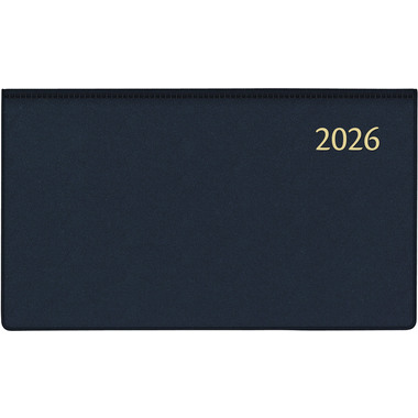 AURORA Agenda Seta Novopl. Pearl 2026 1714P 1W/2S ass. ML 9x16.5cm