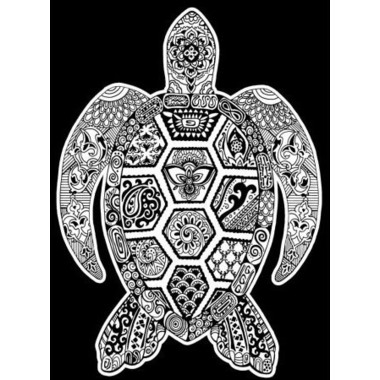 TATARUGA Samtbild A4 S23 Schildkröte