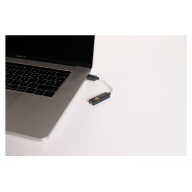 iFi Audio amplificatore per cuffie e DAC USB GO-Link