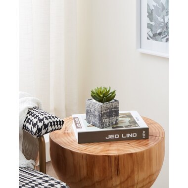 EGLO Kunstpflanze 12cm 428007 grün, im Topf