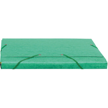 EXACOMPTA Classeur à élastique A4 55753E vert 3 volets