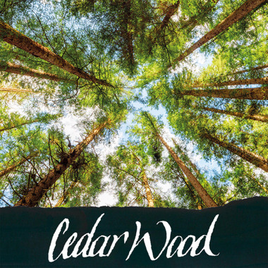 ONLINE Encre 15ml 17061/3 fleurer Cedar Wood, black