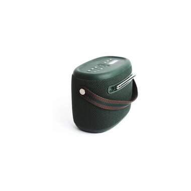 Pure Radio Woodland Grün