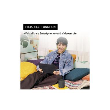 Sony Haut-parleur Bluetooth SRS-XB100 Noir